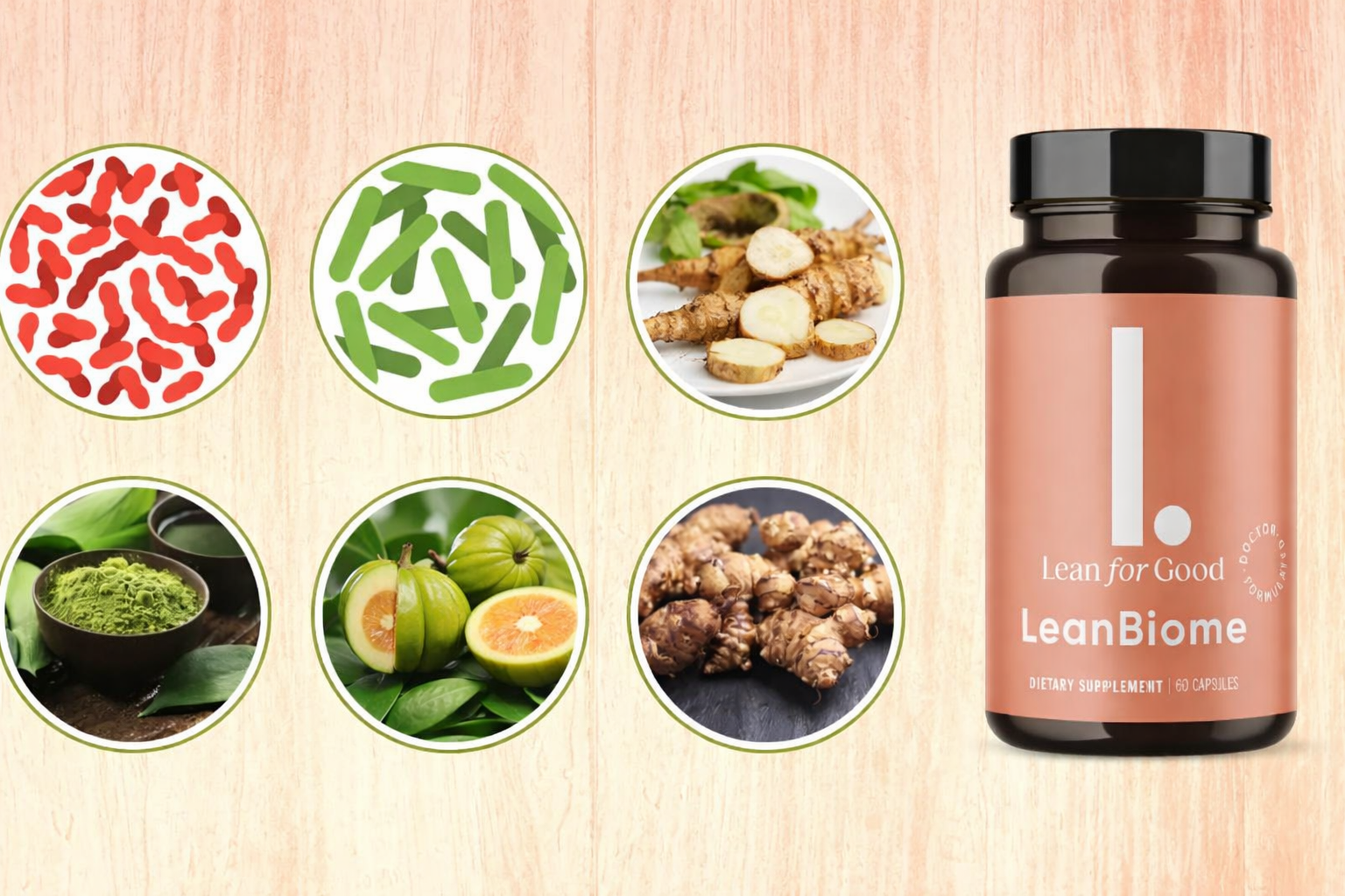 leanbiome ingredients